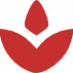 Symbol Ablauf Therapie